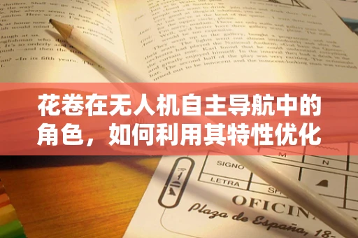 花卷在无人机自主导航中的角色，如何利用其特性优化路径规划？