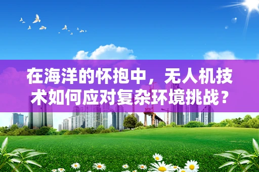 在海洋的怀抱中，无人机技术如何应对复杂环境挑战？