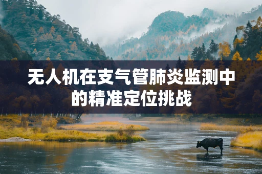 无人机在支气管肺炎监测中的精准定位挑战