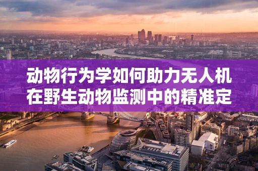 动物行为学如何助力无人机在野生动物监测中的精准定位？