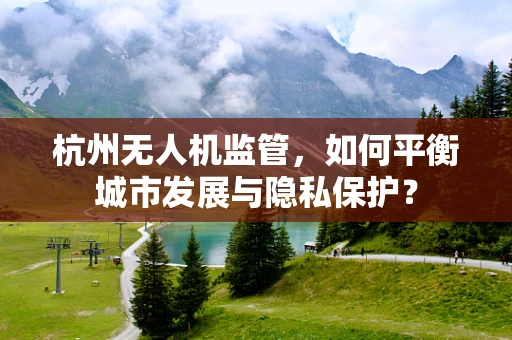 杭州无人机监管，如何平衡城市发展与隐私保护？