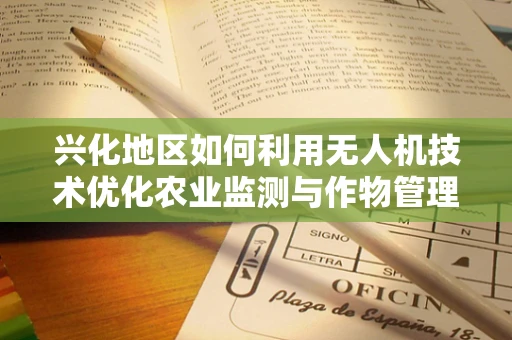 兴化地区如何利用无人机技术优化农业监测与作物管理？