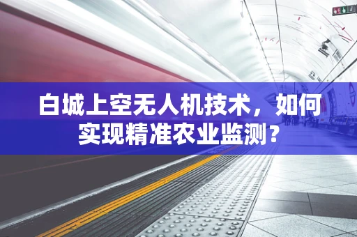 白城上空无人机技术，如何实现精准农业监测？