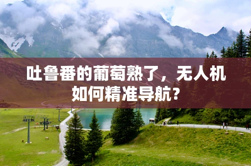 吐鲁番的葡萄熟了，无人机如何精准导航？