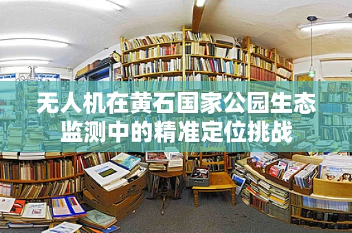 无人机在黄石国家公园生态监测中的精准定位挑战