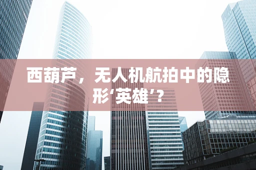 西葫芦，无人机航拍中的隐形‘英雄’？