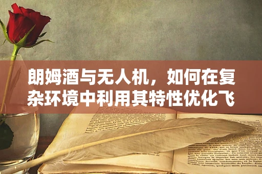 朗姆酒与无人机，如何在复杂环境中利用其特性优化飞行？