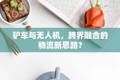 驴车与无人机，跨界融合的物流新思路？