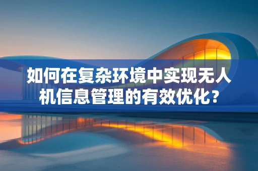 如何在复杂环境中实现无人机信息管理的有效优化？
