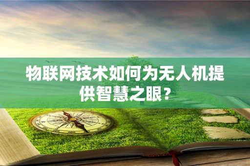 物联网技术如何为无人机提供智慧之眼？