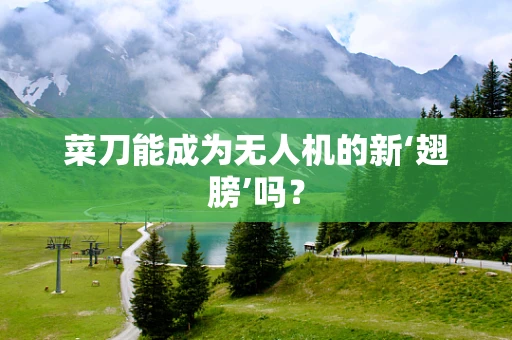 菜刀能成为无人机的新‘翅膀’吗？