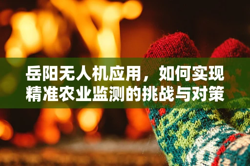 岳阳无人机应用，如何实现精准农业监测的挑战与对策？