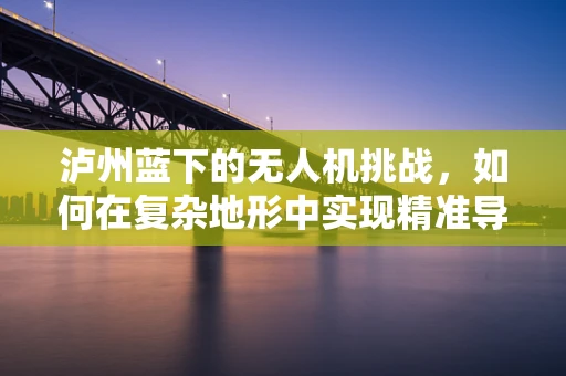 泸州蓝下的无人机挑战，如何在复杂地形中实现精准导航？