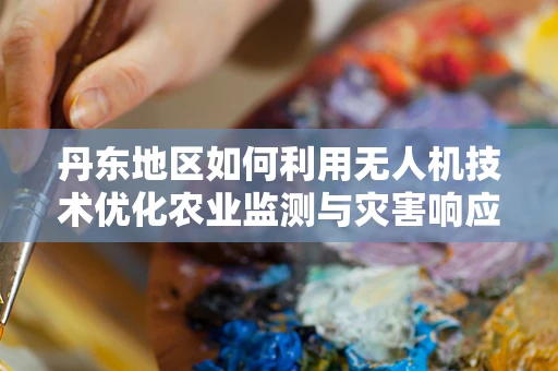 丹东地区如何利用无人机技术优化农业监测与灾害响应？