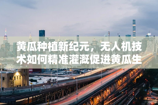黄瓜种植新纪元，无人机技术如何精准灌溉促进黄瓜生长？