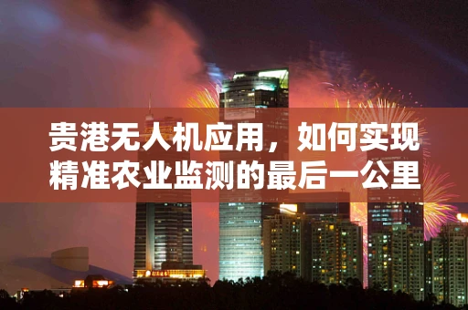 贵港无人机应用，如何实现精准农业监测的最后一公里？