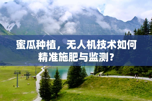 蜜瓜种植，无人机技术如何精准施肥与监测？