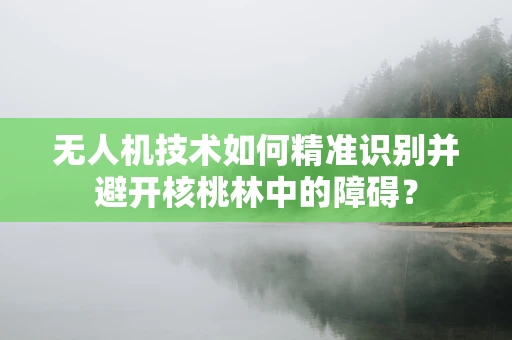 无人机技术如何精准识别并避开核桃林中的障碍？