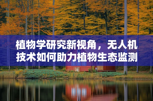 植物学研究新视角，无人机技术如何助力植物生态监测？