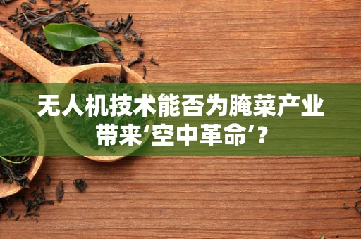 无人机技术能否为腌菜产业带来‘空中革命’？