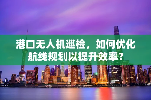 港口无人机巡检，如何优化航线规划以提升效率？