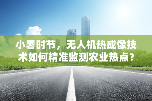小暑时节，无人机热成像技术如何精准监测农业热点？