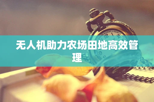 无人机助力农场田地高效管理