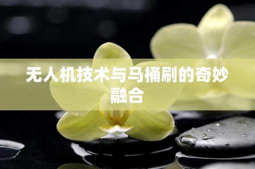 无人机技术与马桶刷的奇妙融合