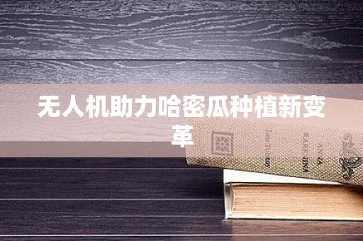 无人机助力哈密瓜种植新变革