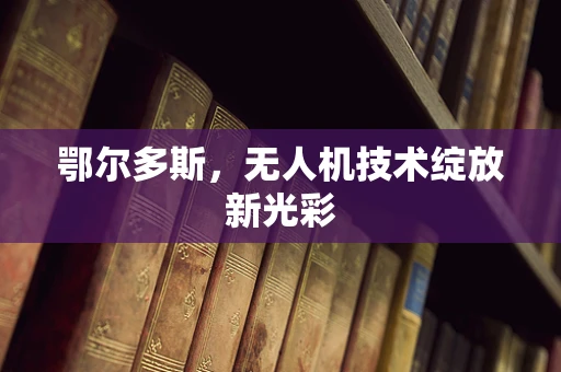 鄂尔多斯，无人机技术绽放新光彩