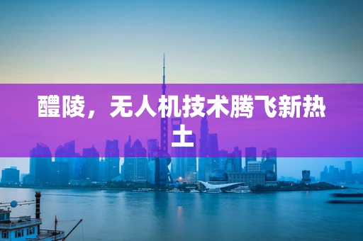 醴陵，无人机技术腾飞新热土