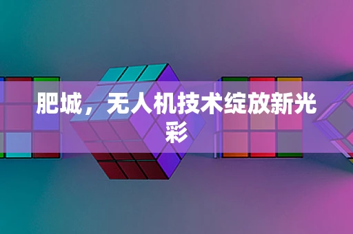 肥城，无人机技术绽放新光彩