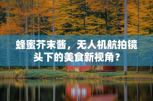 蜂蜜芥末酱，无人机航拍镜头下的美食新视角？