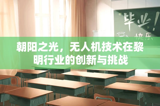 朝阳之光，无人机技术在黎明行业的创新与挑战