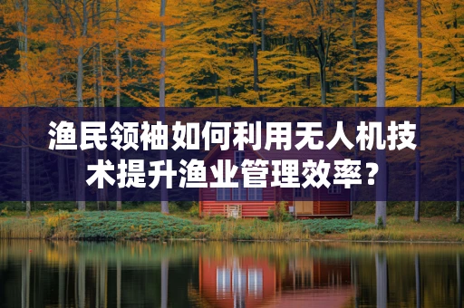 渔民领袖如何利用无人机技术提升渔业管理效率？