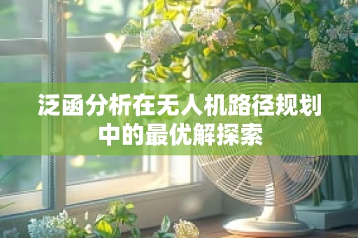 泛函分析在无人机路径规划中的最优解探索