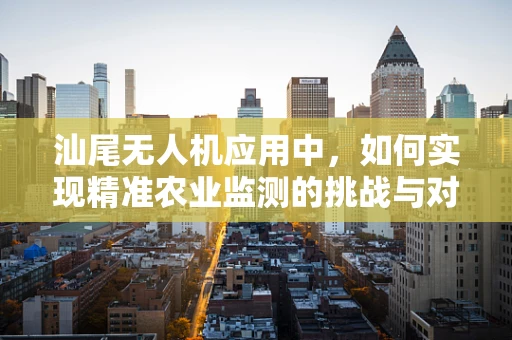 汕尾无人机应用中，如何实现精准农业监测的挑战与对策？