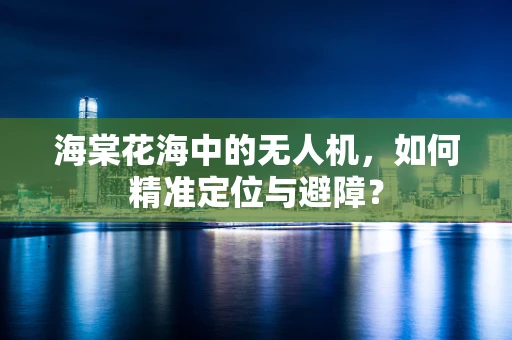 海棠花海中的无人机，如何精准定位与避障？