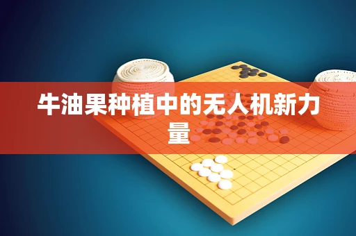 牛油果种植中的无人机新力量