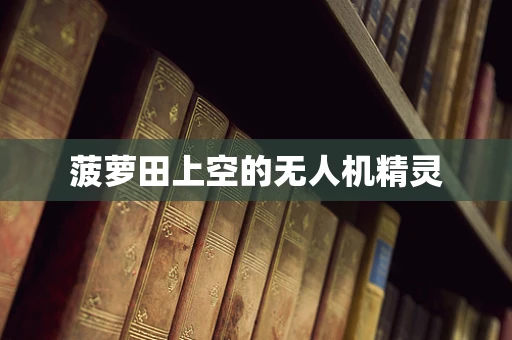 菠萝田上空的无人机精灵