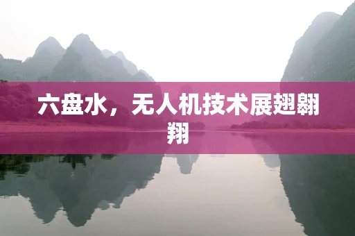六盘水，无人机技术展翅翱翔