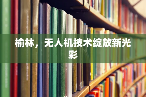 榆林，无人机技术绽放新光彩