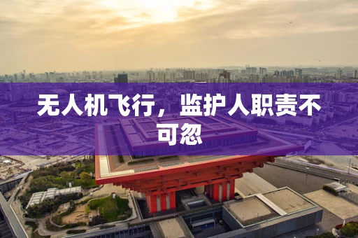 无人机飞行，监护人职责不可忽