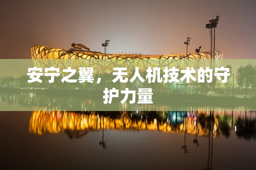 安宁之翼，无人机技术的守护力量
