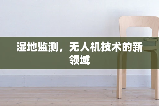 湿地监测，无人机技术的新领域