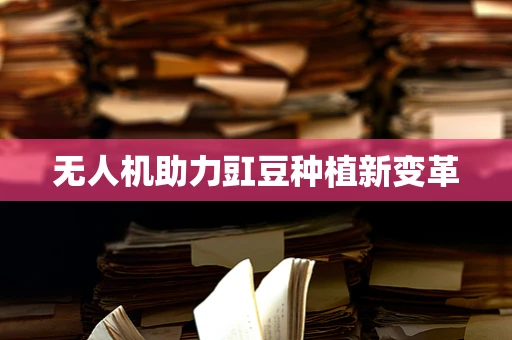 无人机助力豇豆种植新变革
