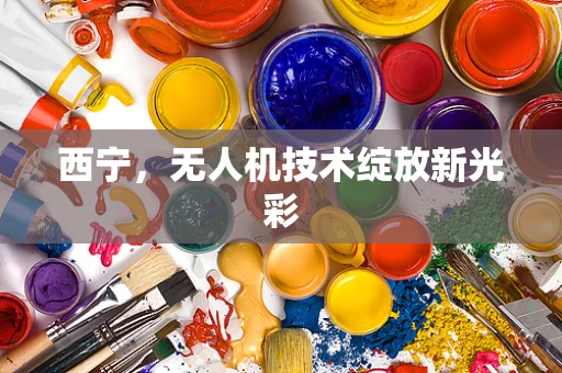 西宁，无人机技术绽放新光彩