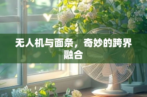 无人机与面条，奇妙的跨界融合