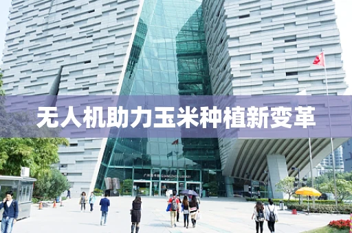 无人机助力玉米种植新变革