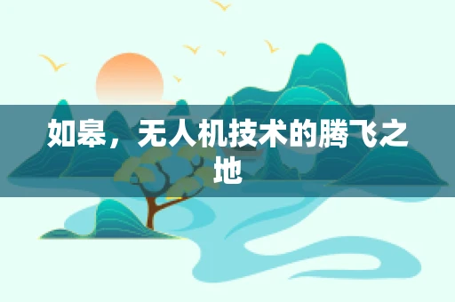 如皋，无人机技术的腾飞之地